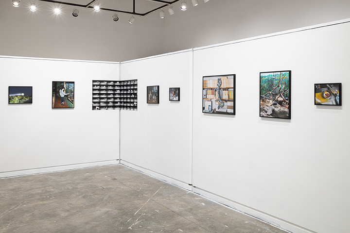 Wide installation view of Natural Causes with framed color photographs and a grid of black-and-white trail-camera images.