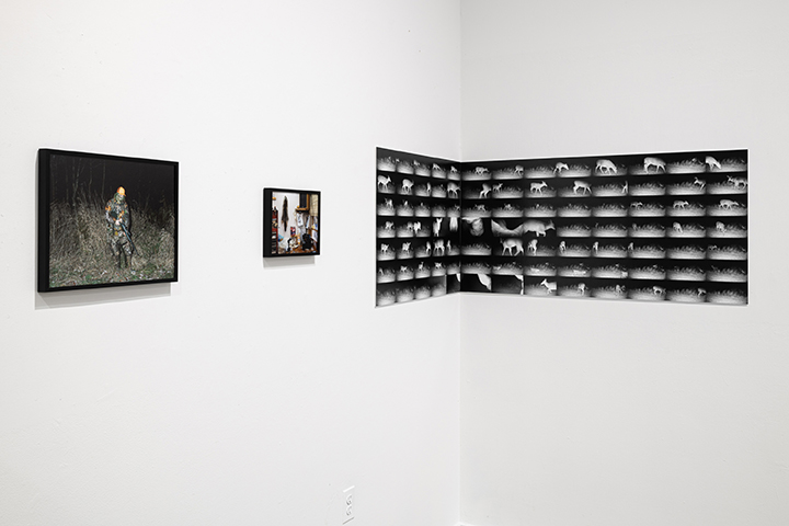 Natural Causes installation detail pairing a nighttime hunter photograph, smaller animal image, and a trail-camera grid.