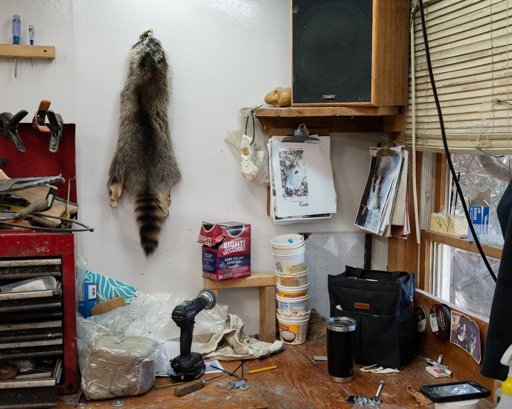 Natural Causes photograph of a taxidermy workshop with a raccoon pelt, hand tools, drill, notes, and supplies.