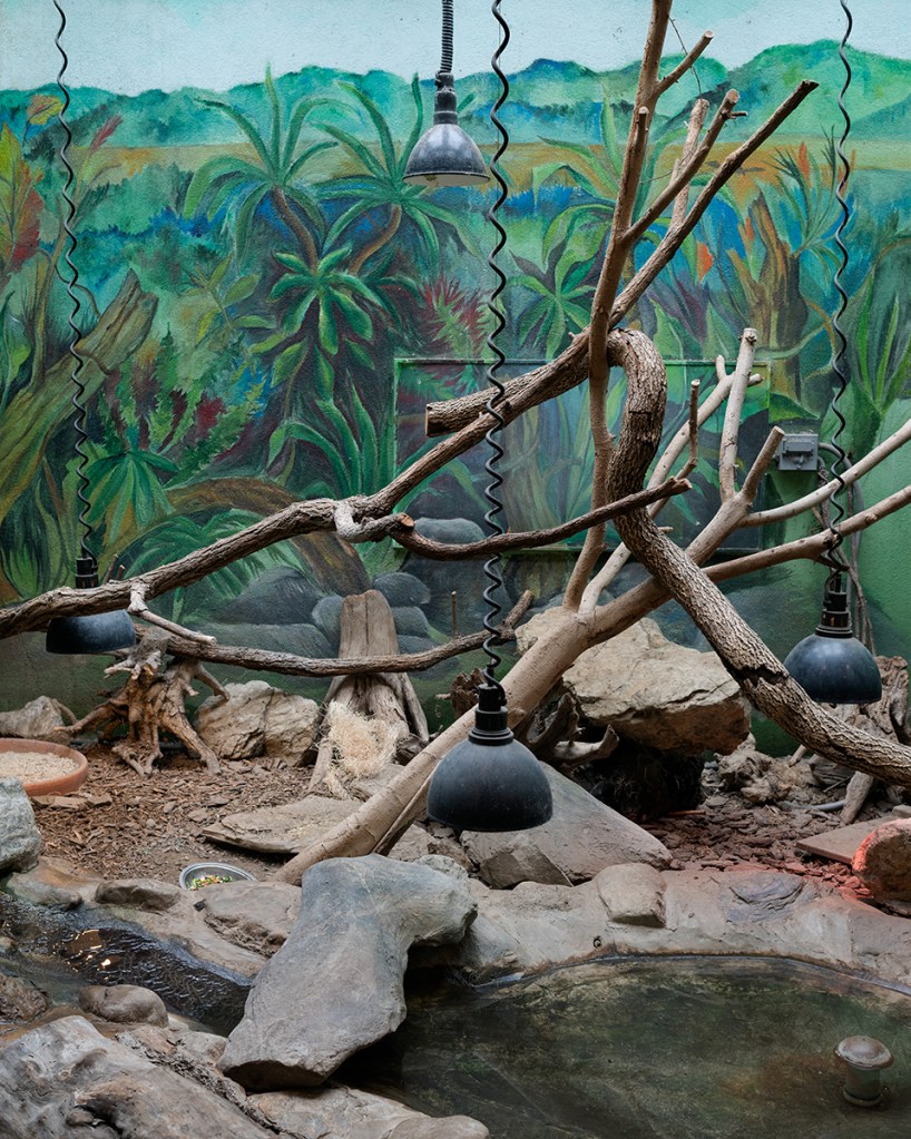 Natural Causes photograph of an artificial animal habitat with branches, heat lamps, rocks, a pond, and a painted jungle mural.