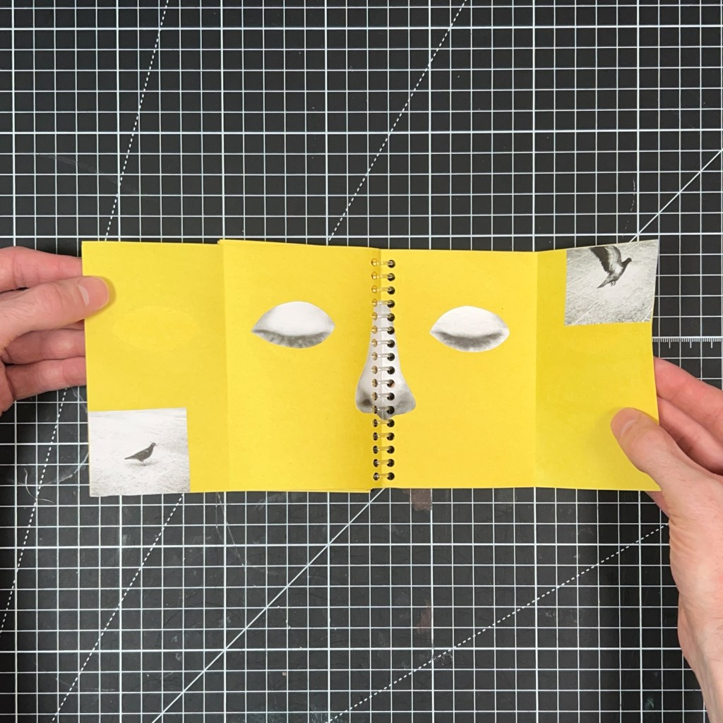 Fold-out spread from Blink and You’ll Miss It with closed eyes, a receipt-paper nose, and black-and-white photographs of birds in flight.